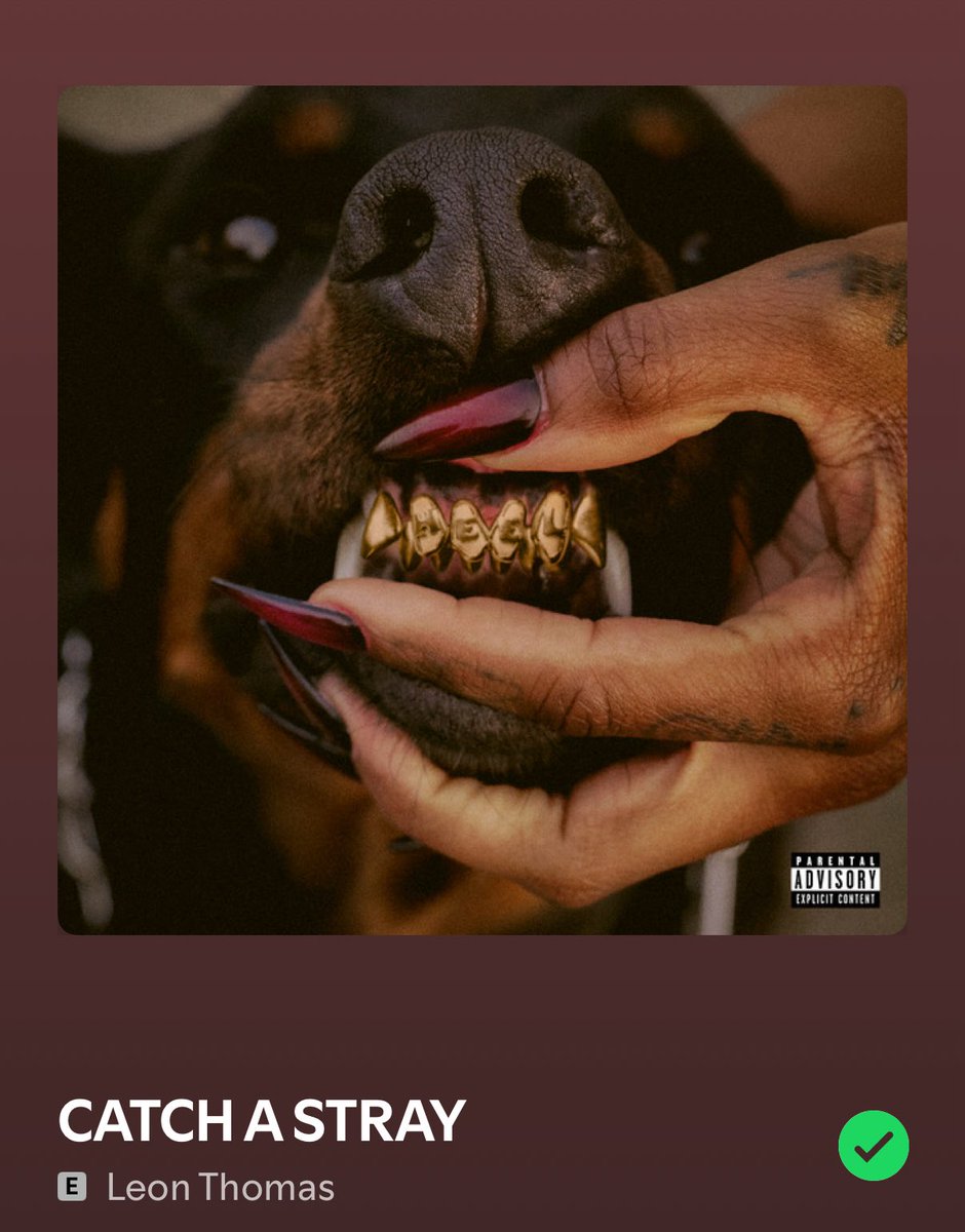 Elsie not Elise 💿 tweet media