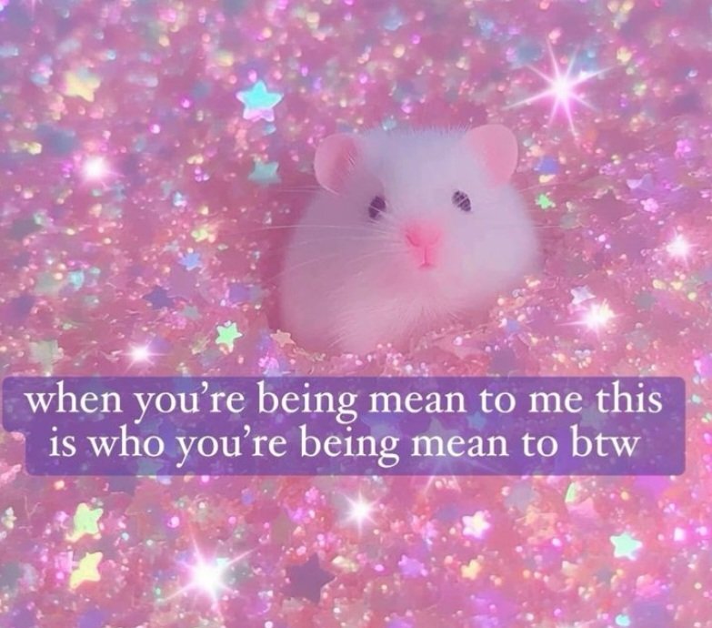 Mousey 🐭🧀 tweet media