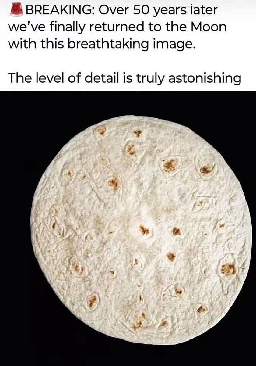 🇨🇦𝖘𝖎𝖎𝖓𝖓𝖎𝖎𝖘𝖙𝖊𝖗🇨🇦 tweet media