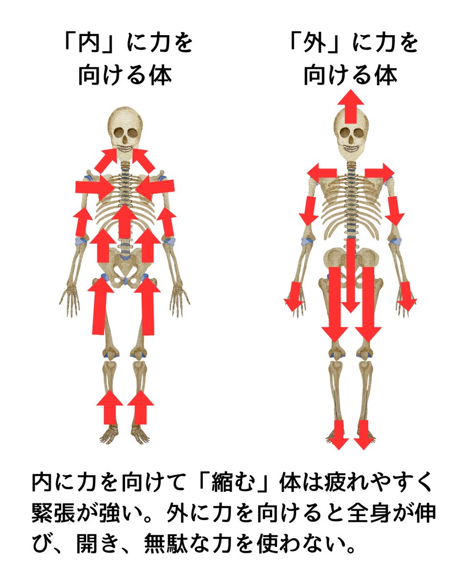 fuka｜脳・体・心を整える＆鍛える tweet media
