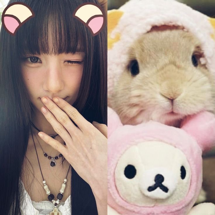 mika con limit tweet media