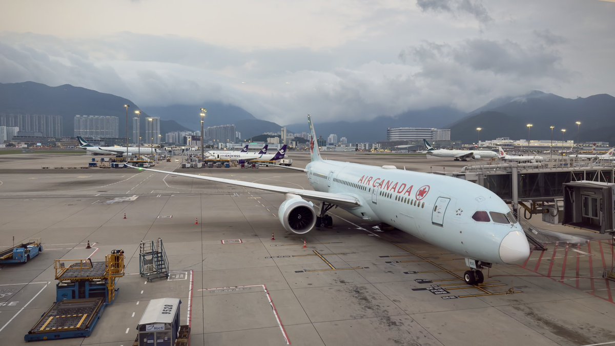 Meredeleo🇨🇦 tweet media