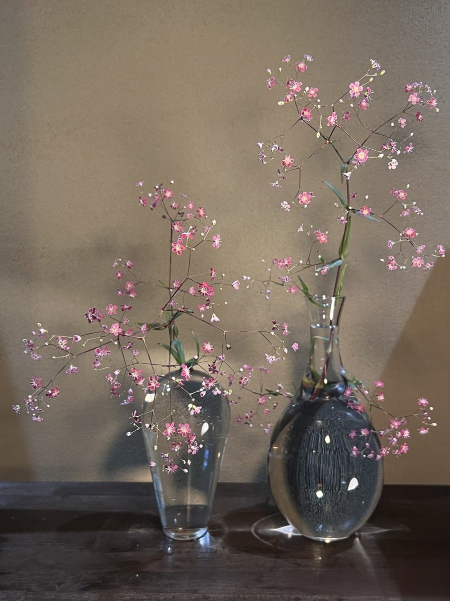 @_rt* (@literatura_rte) on Twitter photo 