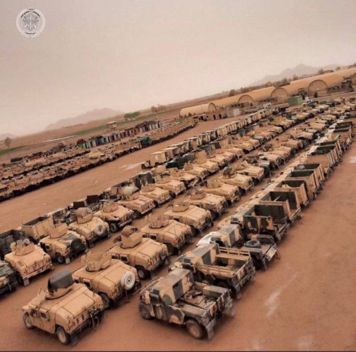 Gain of Fauci tweet media