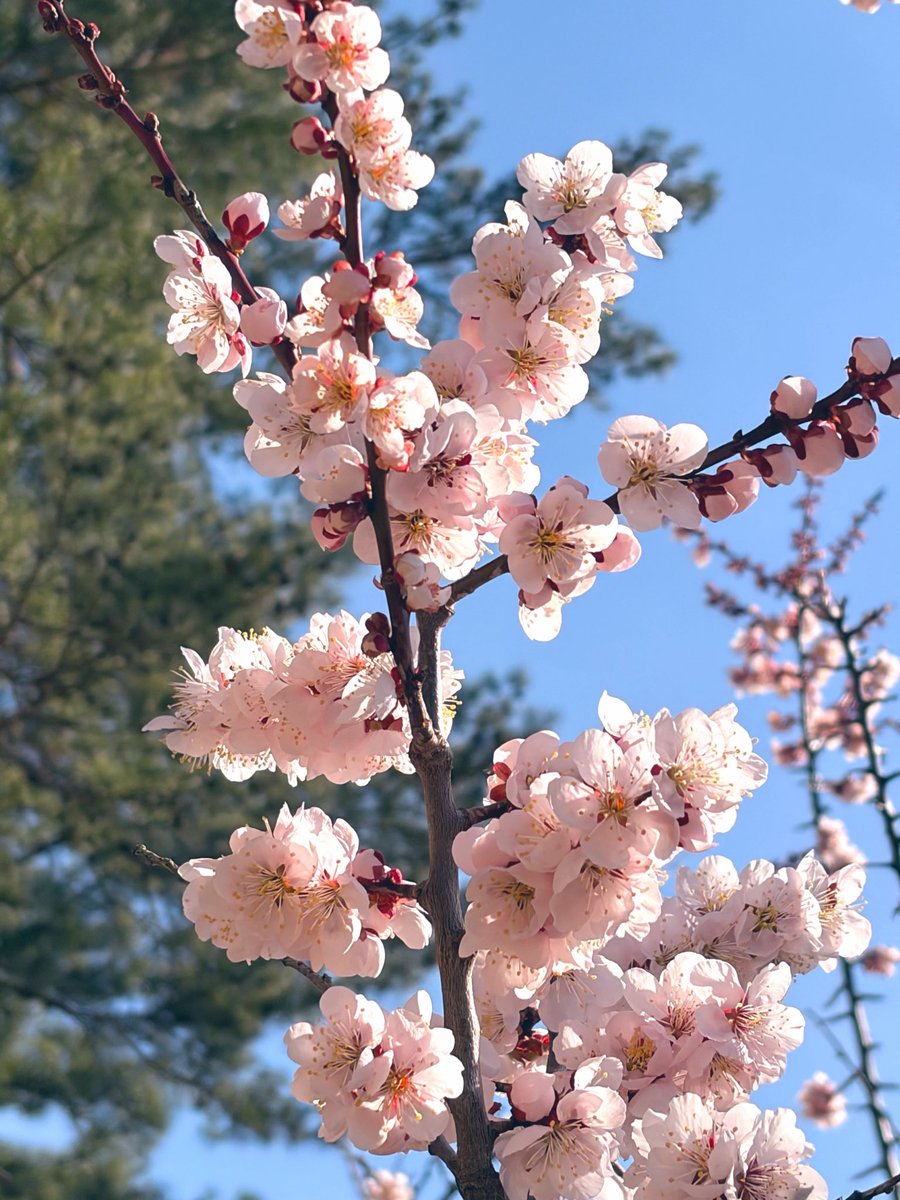 優 介 🦈 tweet media