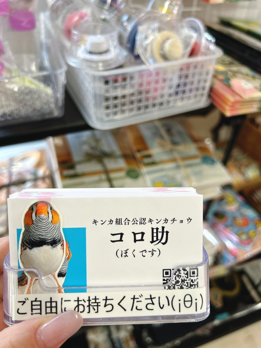 ことりバザールオープンしましたぁ！！
ペーナッツシールとかランダムについてます！

＃ことりバザール