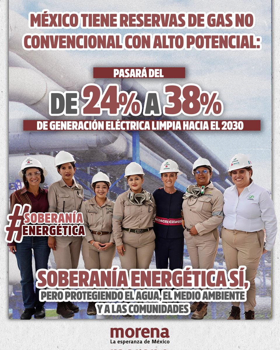 Comité Ejecutivo Estatal morena Veracruz tweet media