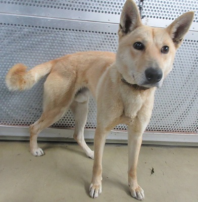 🦋* R U I *🦋 いのちと向き合う いつもありがとうございます NO WAR tweet media