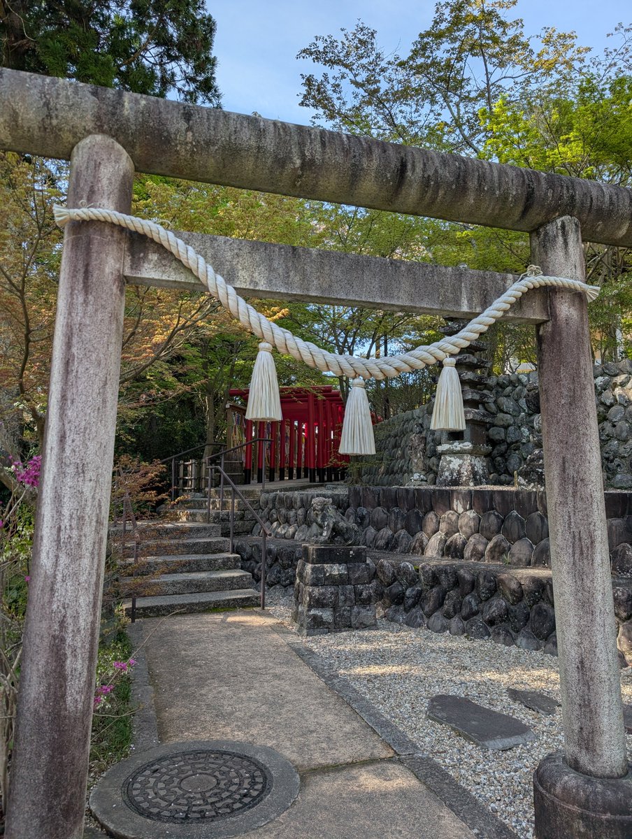 法多山 tweet media