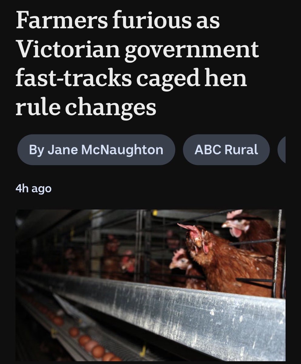 Wazza from Melbourne tweet media