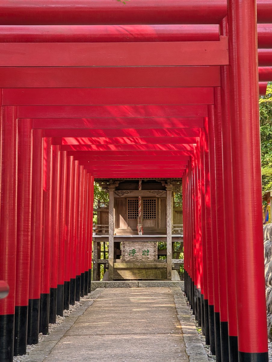 法多山 tweet media