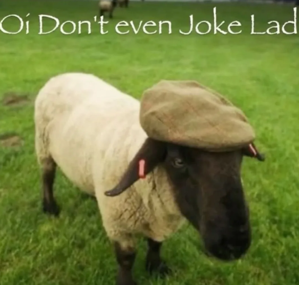 Fable (@cardboardcatz) on Twitter photo 