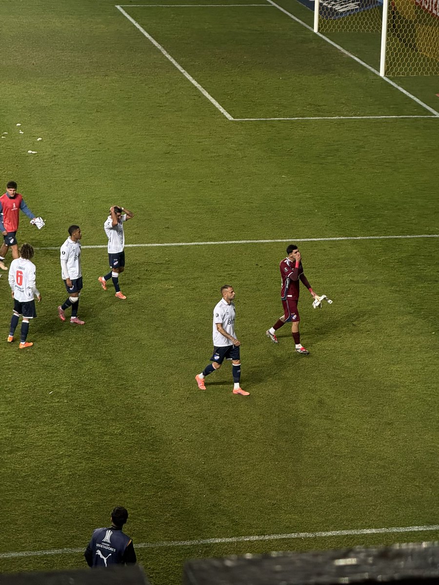 Diego Domínguez tweet media