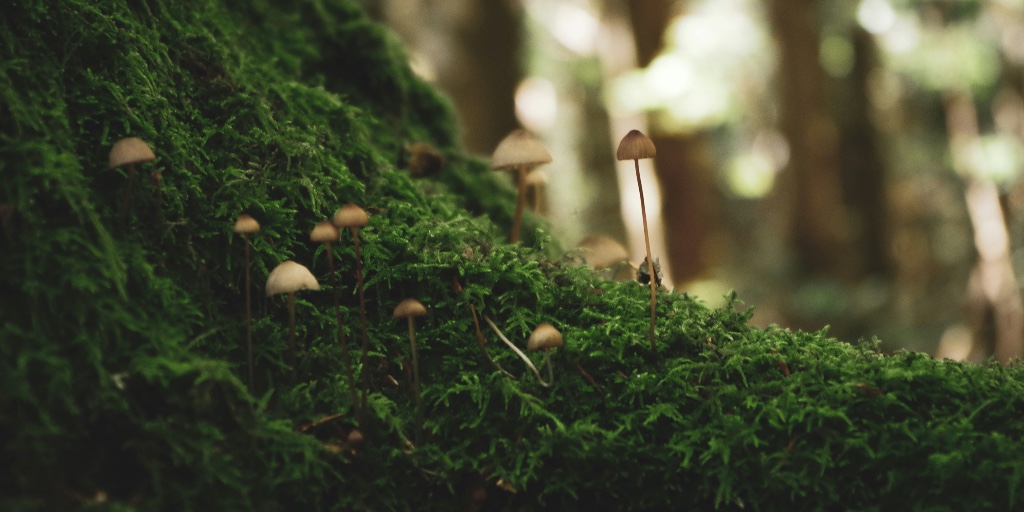 Faculty of Science, University of Alberta tweet media