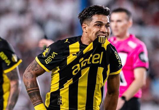 Ves estos colores y te asustas