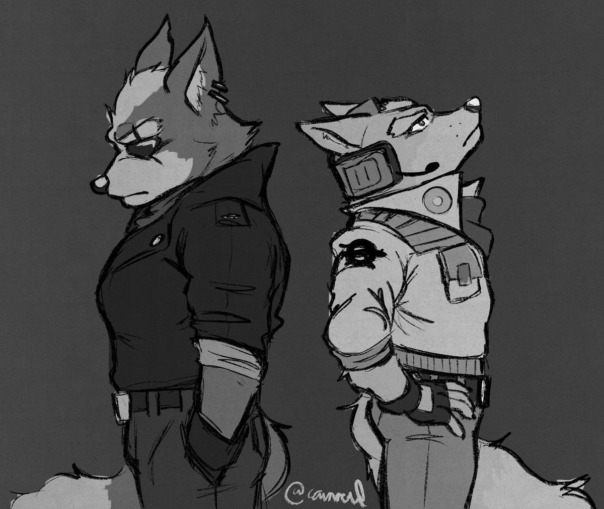 canravl's tweet photo. wolf and fox #starfox https://t.co/YTermJ9ahY