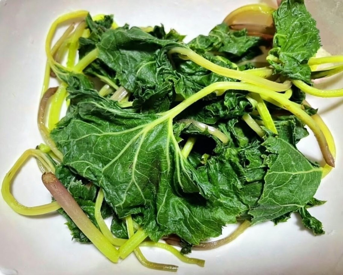 날씨도 꼬롬한데
아침부터 머위 데친 거 땡긴다…
머위 데쳐서 쌉싸름하게 한입 하고 싶다