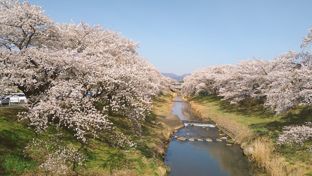 🌗100本🌗 tweet media