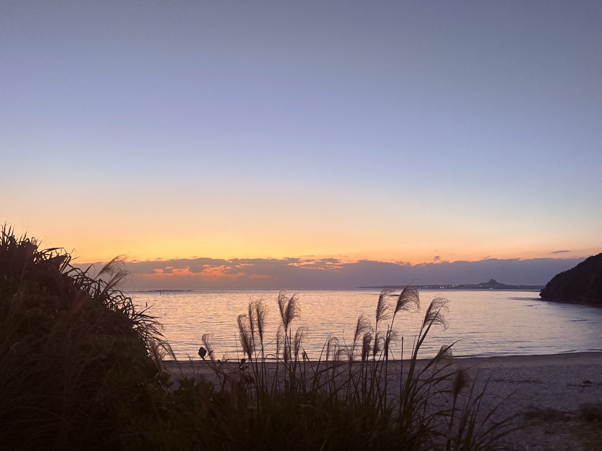 𝓒𝒉𝒊𝒗𝒚 🍵ིྀ tweet media