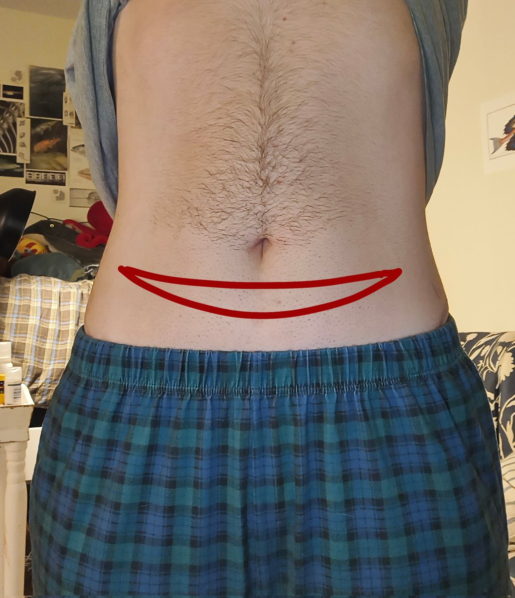 Bigger Fishes 𓆝 𓆟 𓆞 (-19/56 lbs) tweet media