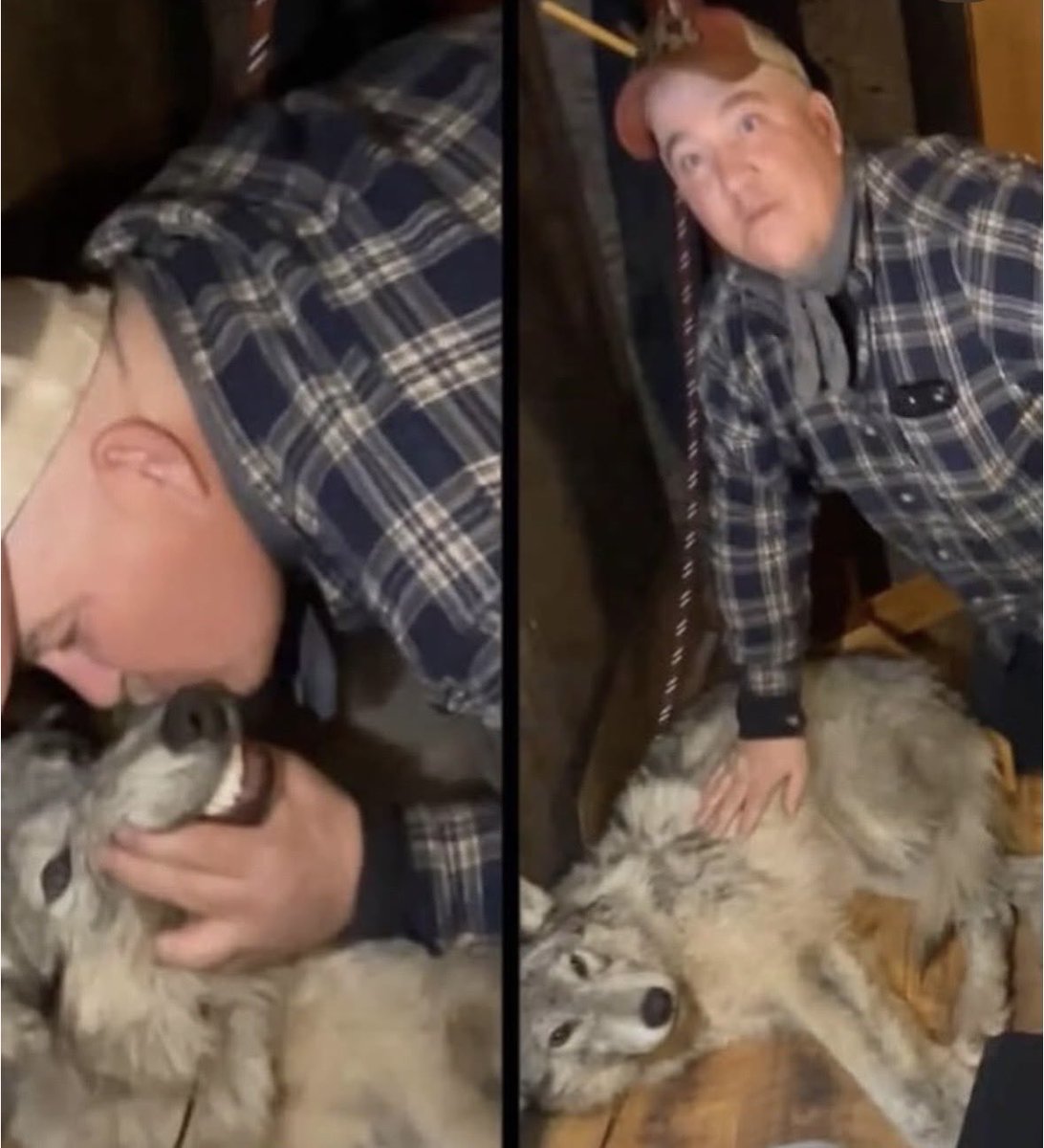 Xpose Trophy Hunting tweet media