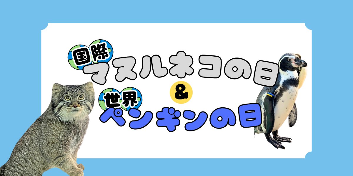 横浜市立野毛山動物園≪公式≫ tweet media