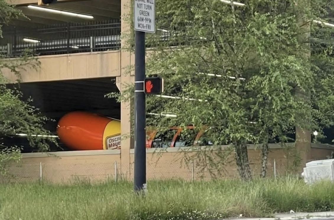 Weapon 𝕏 tweet media