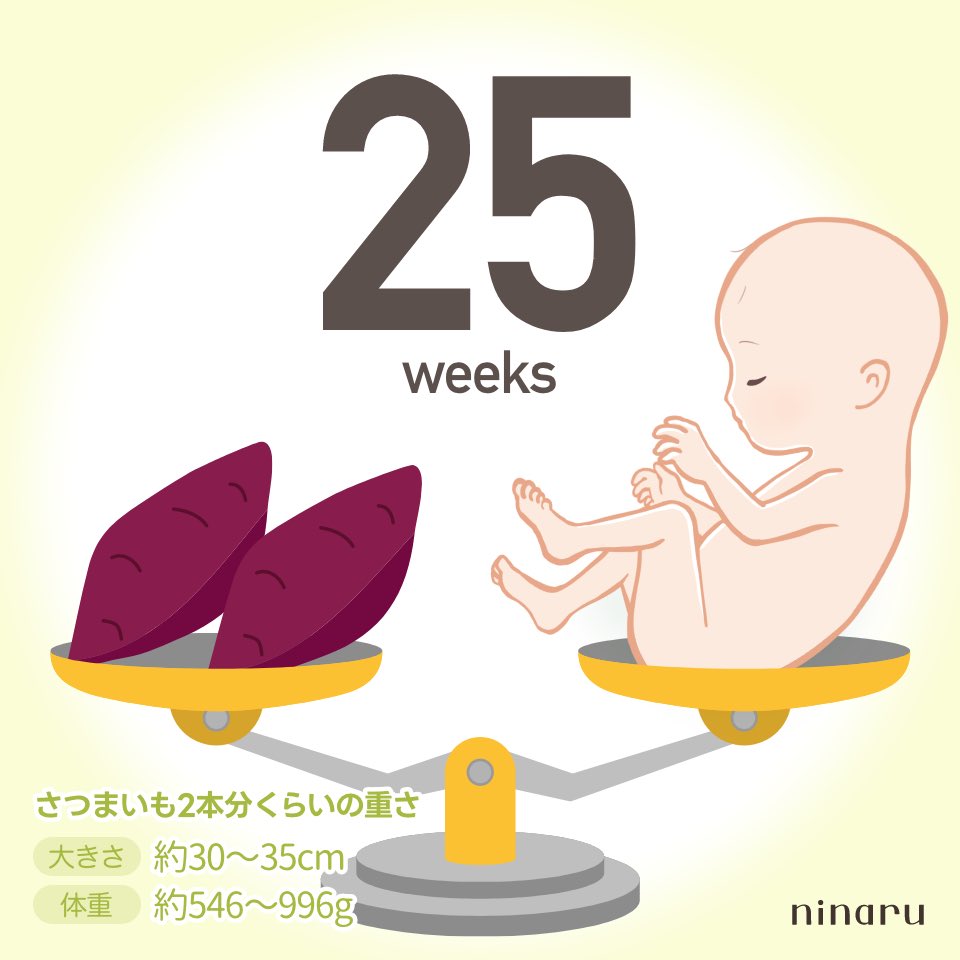 まつ25w🎀 tweet media