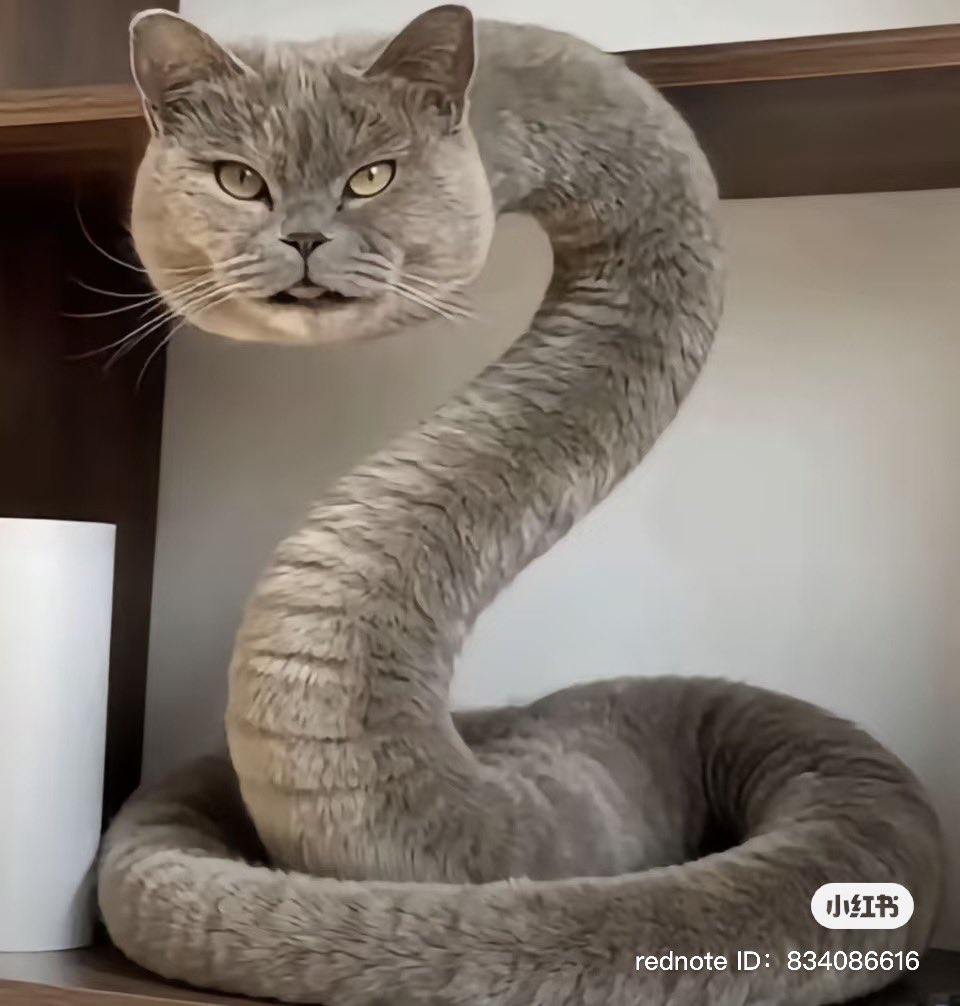 lunar🌖 ✨ tweet media