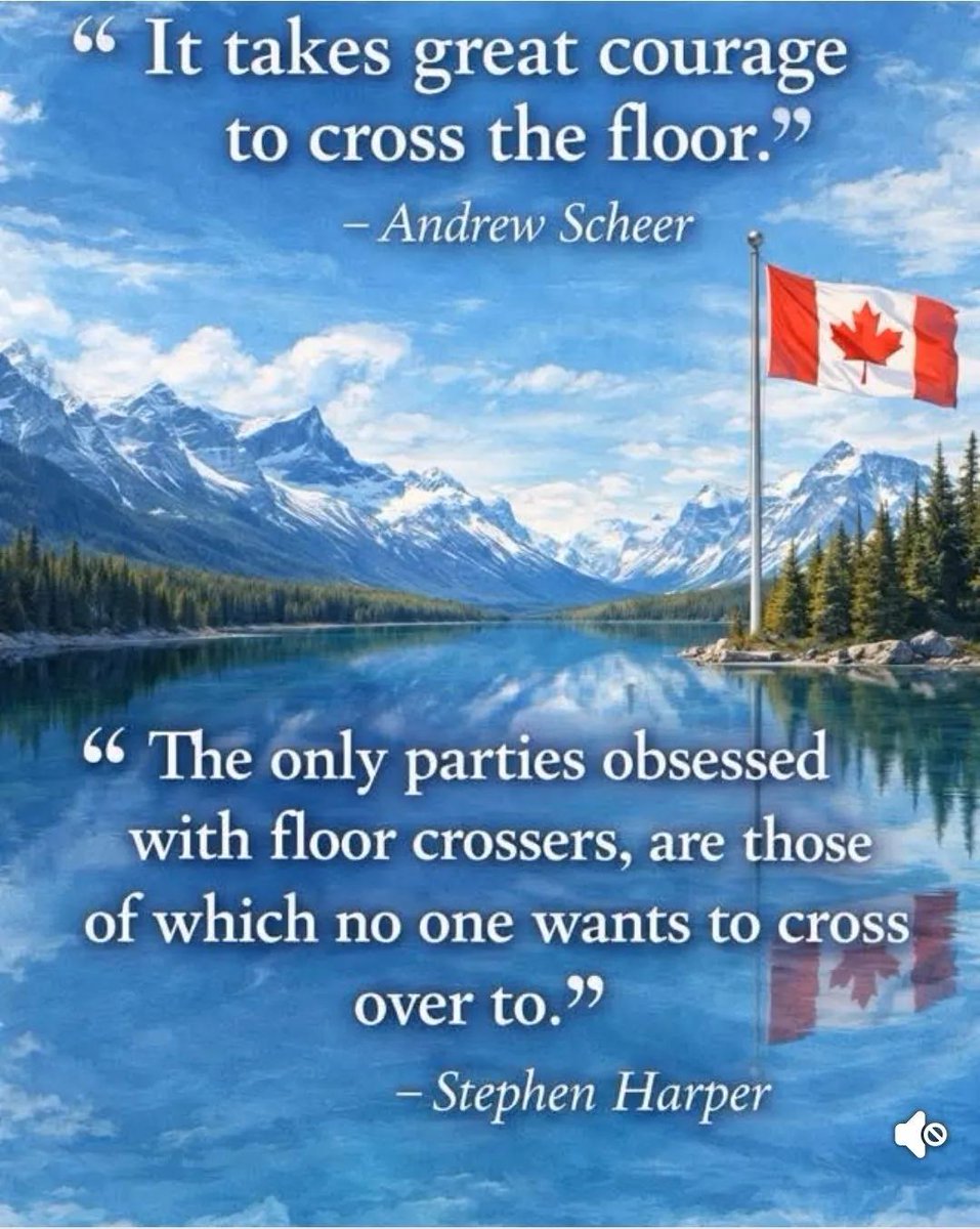 Distinctly Not Anything tweet media