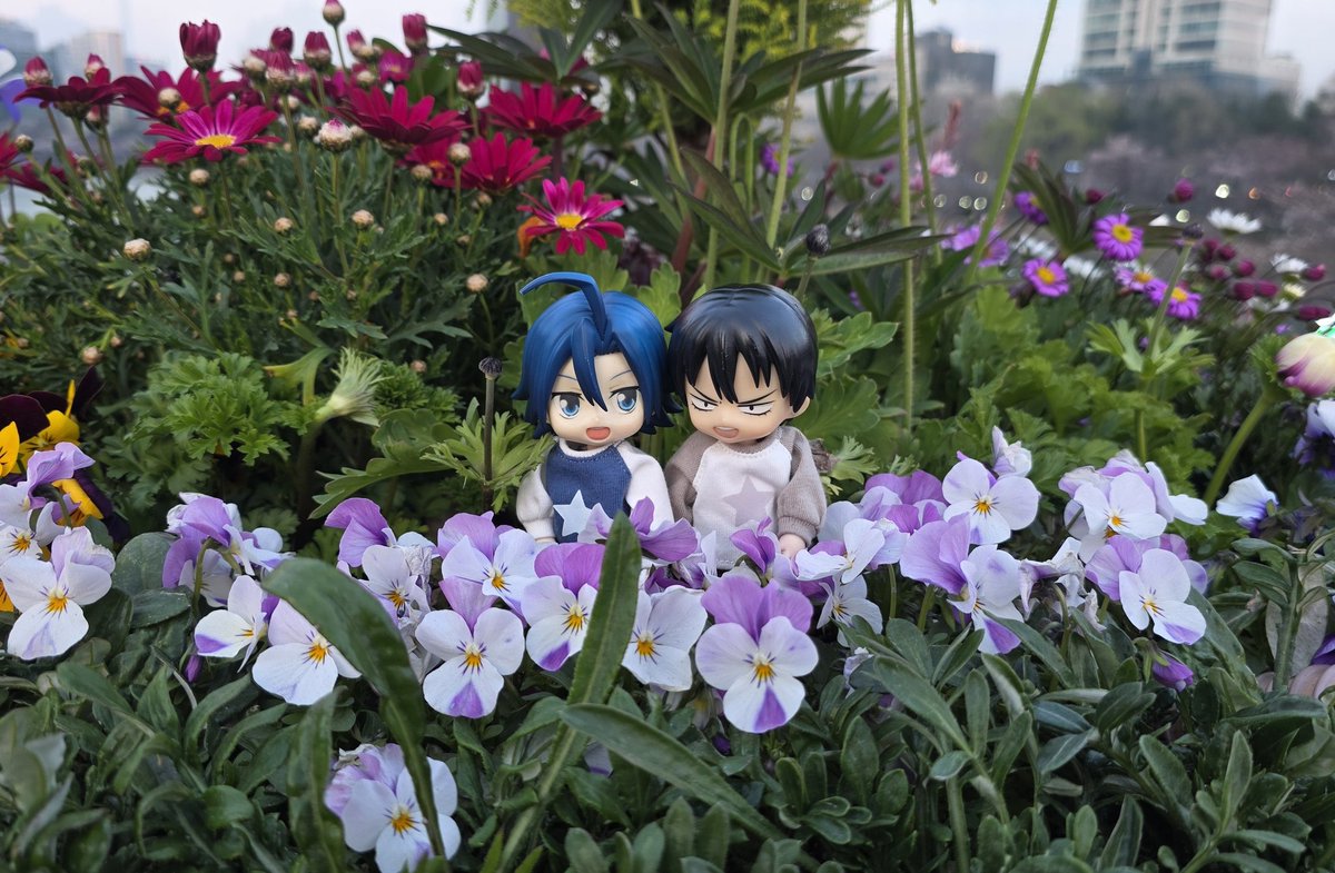 러드🐬❤🐺💙 🌸 tweet media