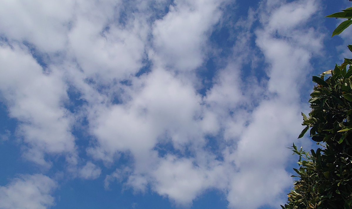 ひとなみ tweet media