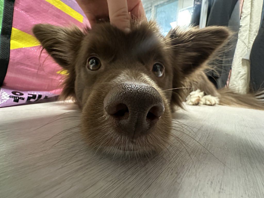 밤팅이.. tweet media