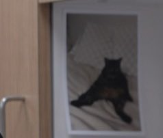 liz ☾ ⊹ ࣪ ˖ tweet media