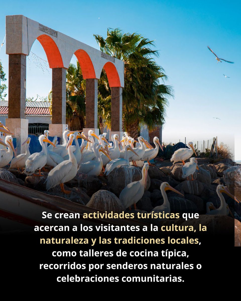 Plan Michoacán tweet media