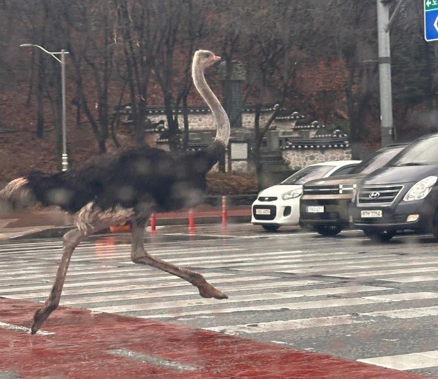 벽댕이 tweet media