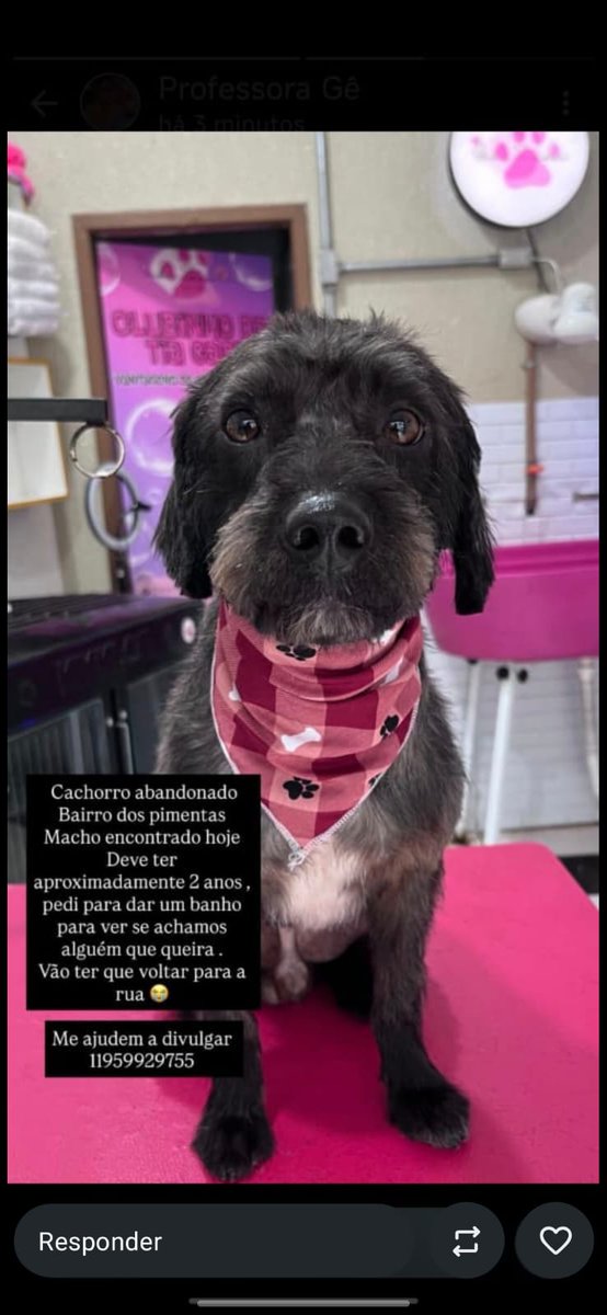 MUSAH ⛓️ tweet media