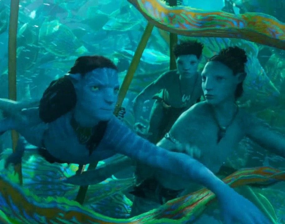 bunny ♡ tweet media