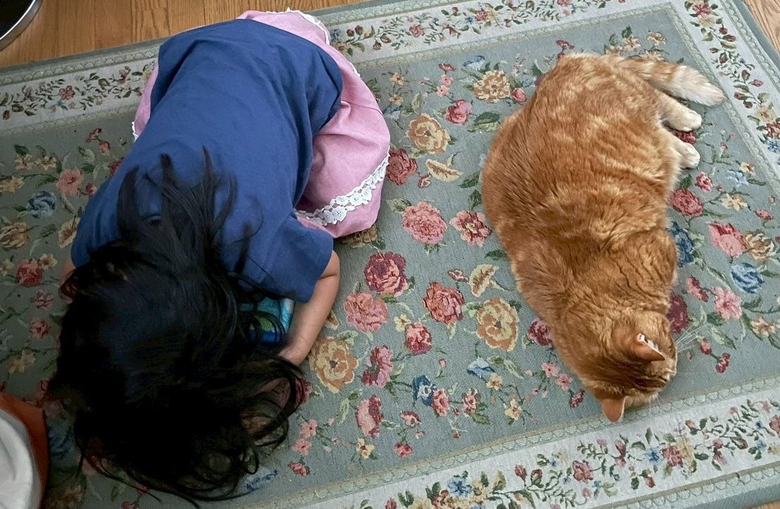 山形 まちの防災やさん にしや（ENJOYBOUSAI） tweet media