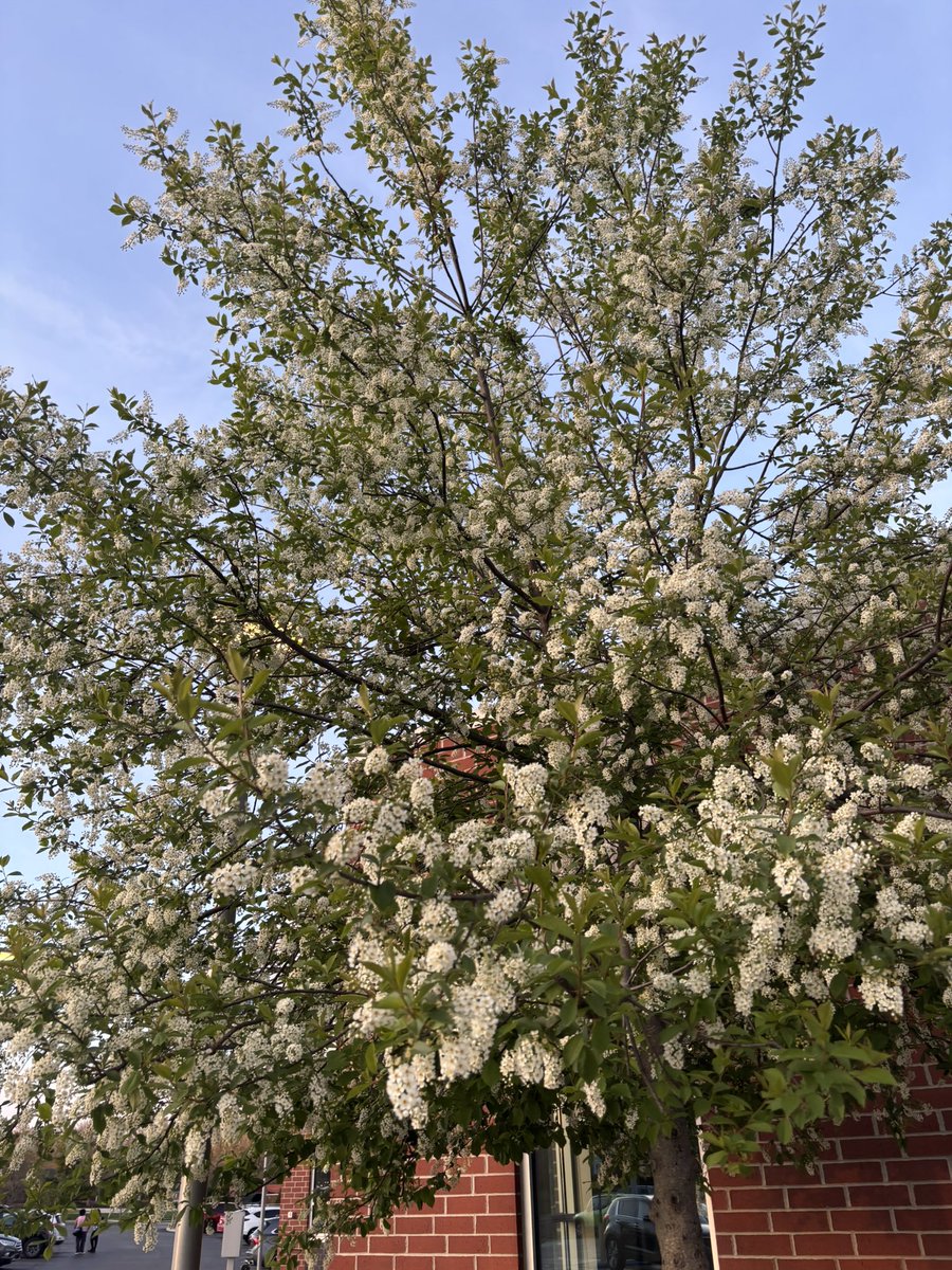 Brando🦾 tweet media