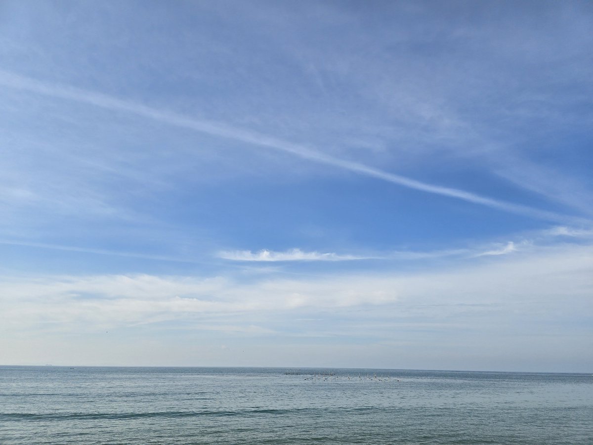 Over.D | 4/6 ~ 4/9 Nagoya tweet media