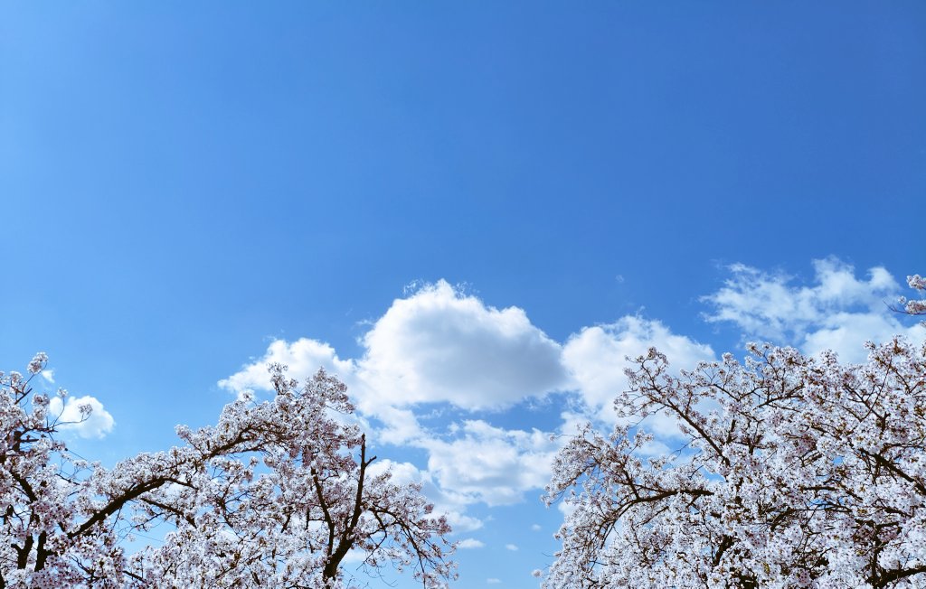 とーや tweet media