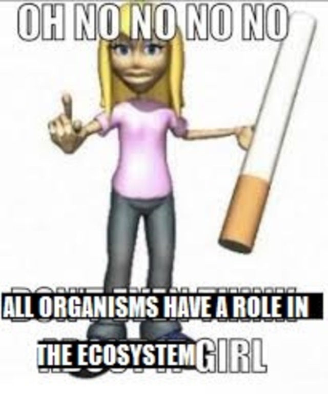 Gengar but on twt tweet media