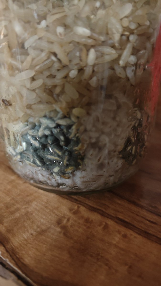 BADO✰CERTIFIEDCRACKBABY tweet media