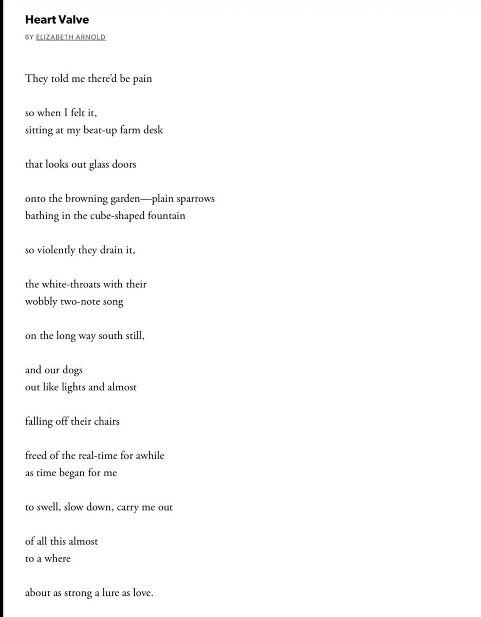 maureenthorson's tweet photo. “They told me there’d be pain.” A poem by Elizabeth Arnold. https://t.co/bNLplCkNsn