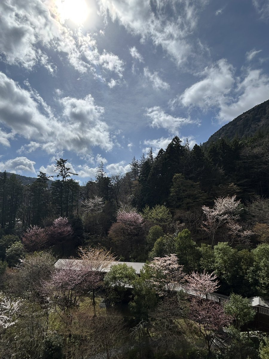 はぁちゃん🙂🎵👦🏻✨🙈 tweet media