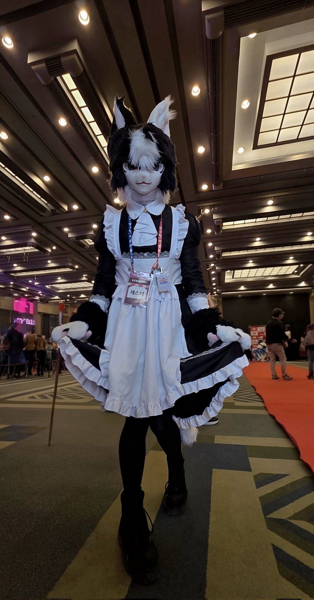 NONAME🦊🔔🔜니지모리.5수코.플엑 tweet media