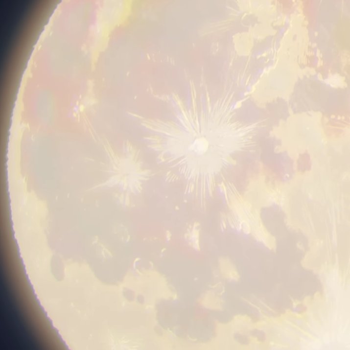 bUni➰•* tweet media