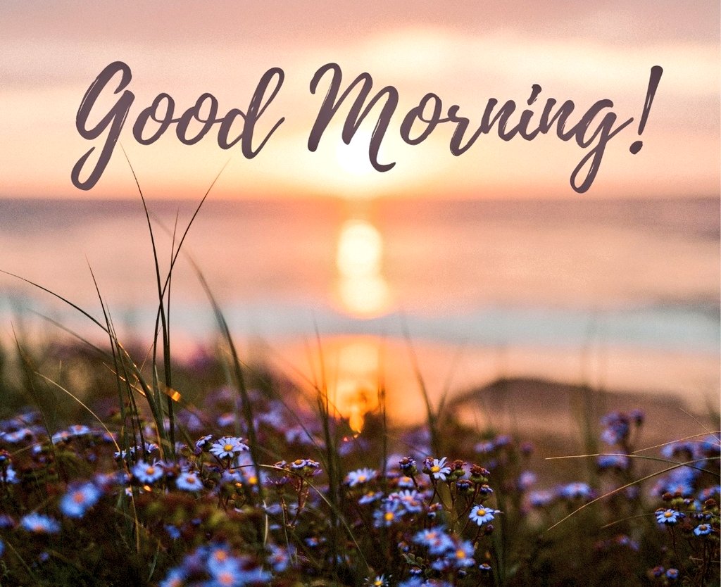 babitameena1010's tweet image. Good Morning 🌸🌿🔥♥️
New day, fresh mindset—less overthinking, more action. Make today count. 💯
#GoodMorning #NewDay #StayFocused #NoExcuses