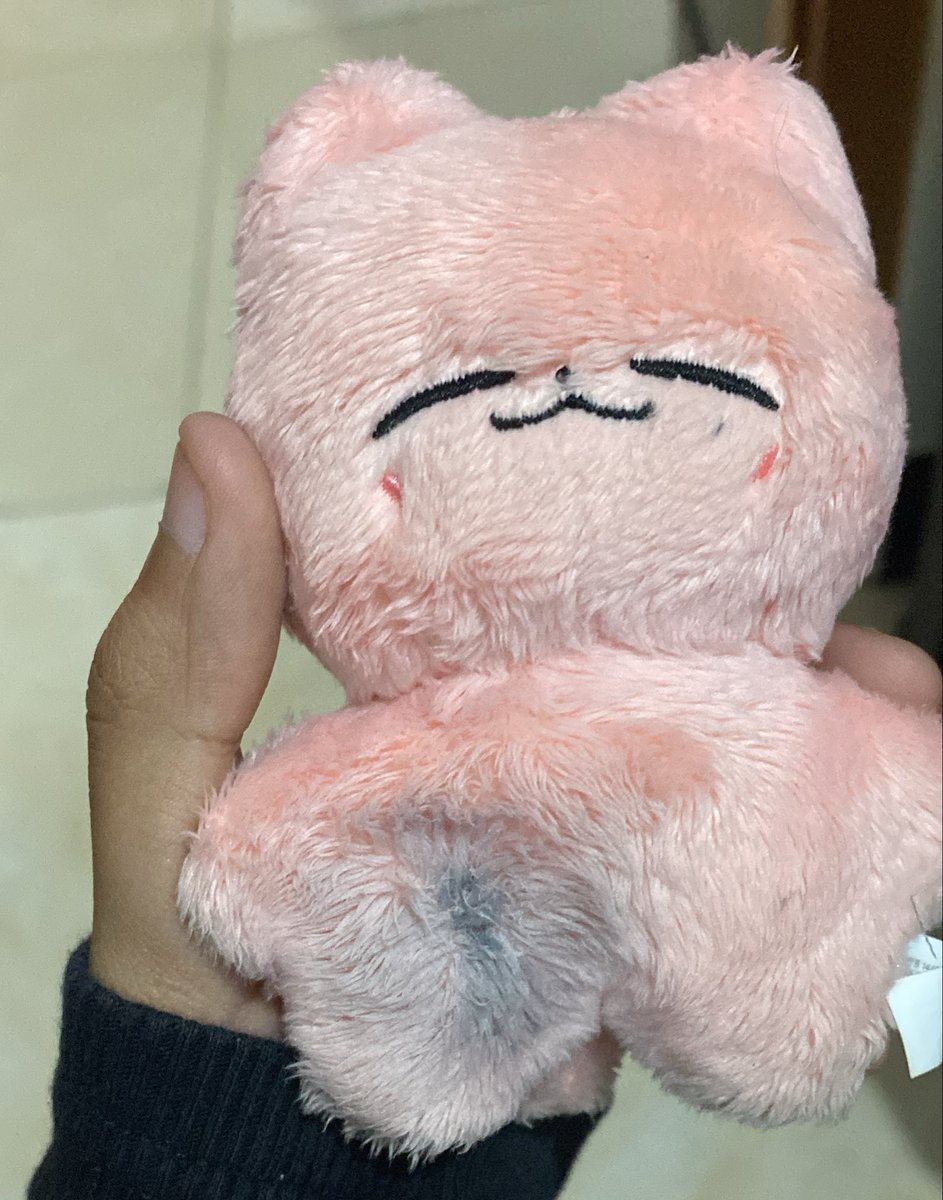 Finn🍑🐿️🪖 tweet media